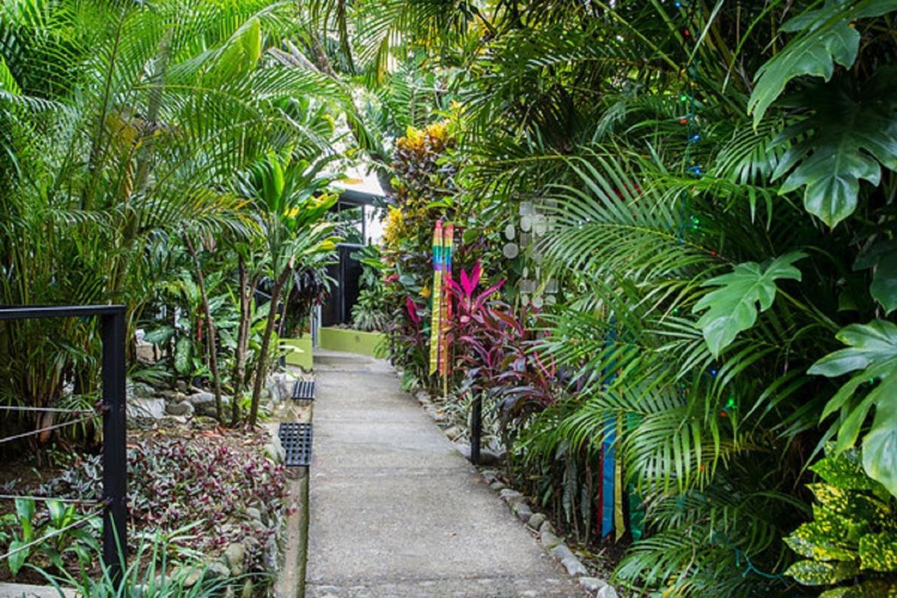 Tico Tico Villas - Adult Only Vườn quốc gia Vườn quốc gia Manuel Antonio Ngoại thất bức ảnh