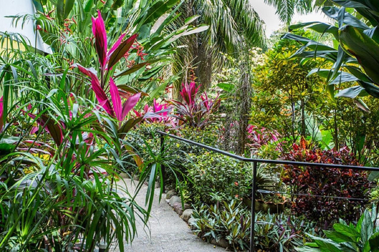 Tico Tico Villas - Adult Only Vườn quốc gia Vườn quốc gia Manuel Antonio Ngoại thất bức ảnh